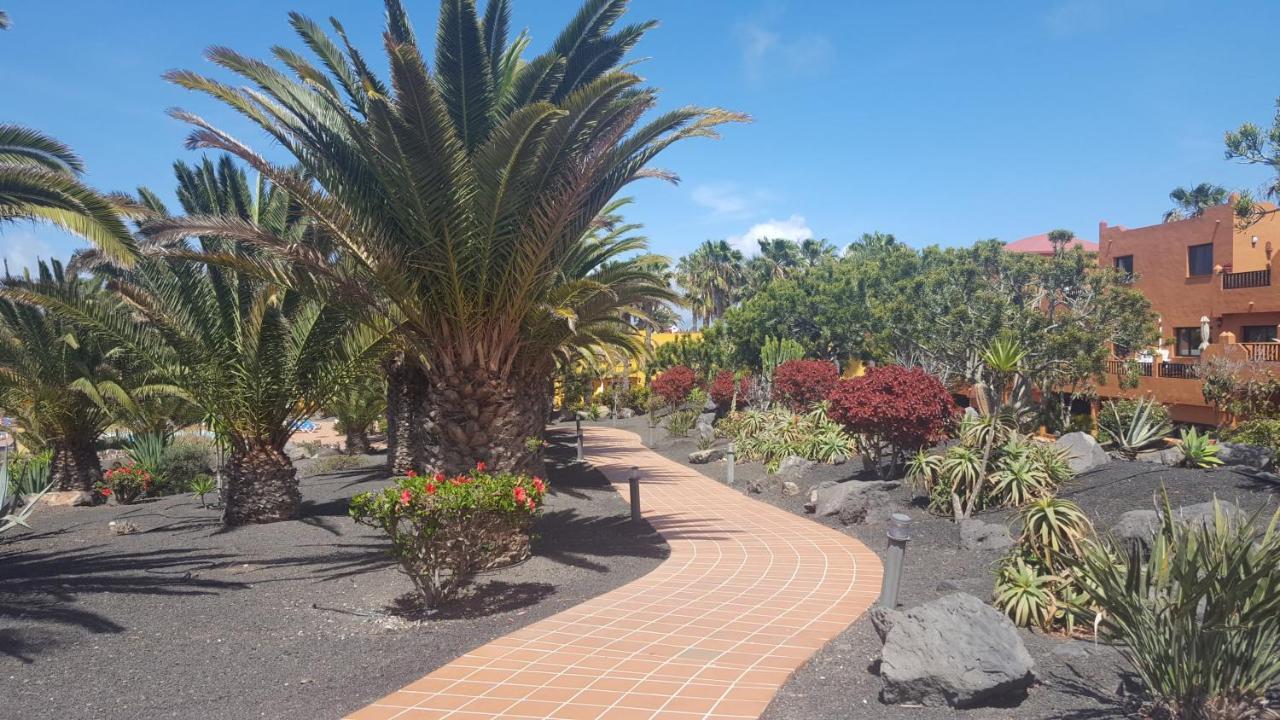 Apartamento Oasis Royal 3 piscinas - fibra óptica Corralejo Exterior foto