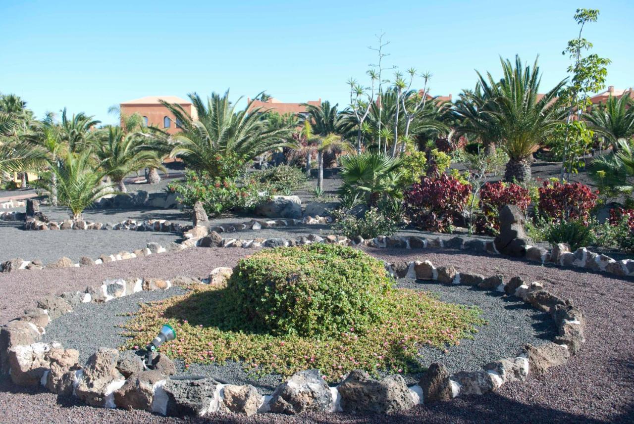 Apartamento Oasis Royal 3 piscinas - fibra óptica Corralejo Exterior foto