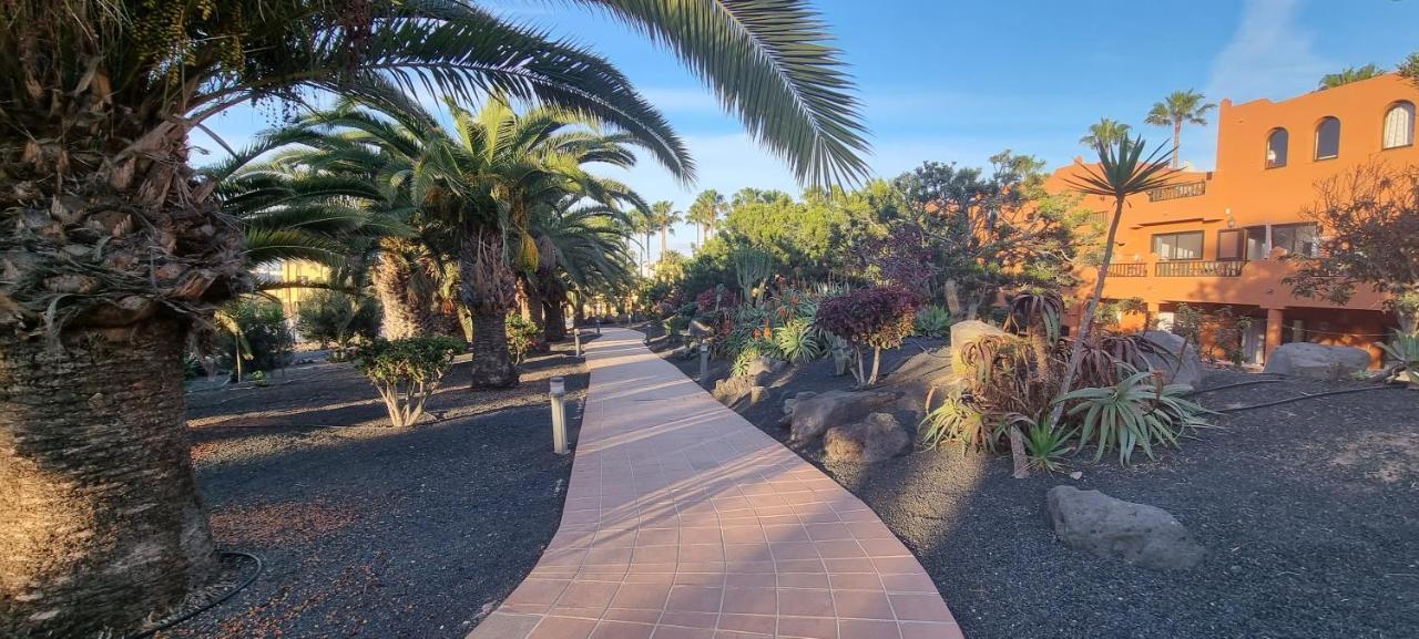 Apartamento Oasis Royal 3 piscinas - fibra óptica Corralejo Exterior foto