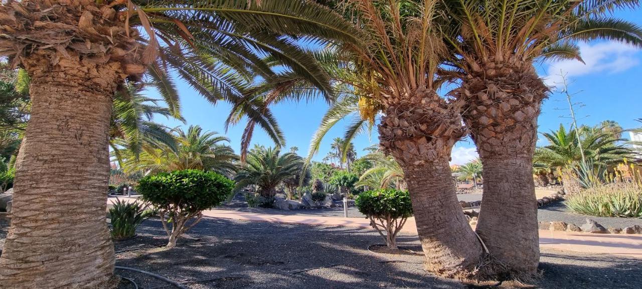 Apartamento Oasis Royal 3 piscinas - fibra óptica Corralejo Exterior foto